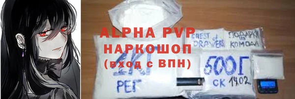прущие грибы Абаза