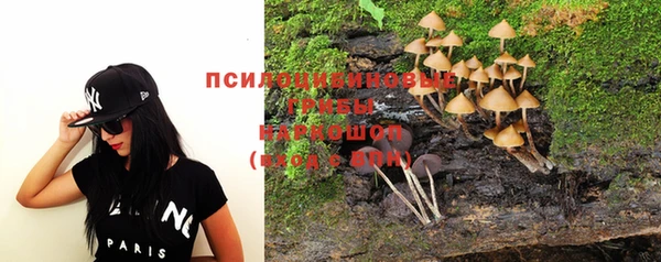 прущие крисы Абинск