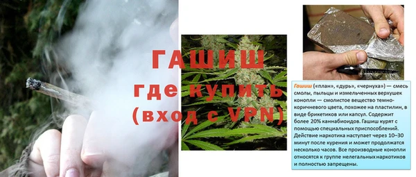 прущие грибы Абаза