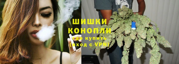 прущие грибы Абаза