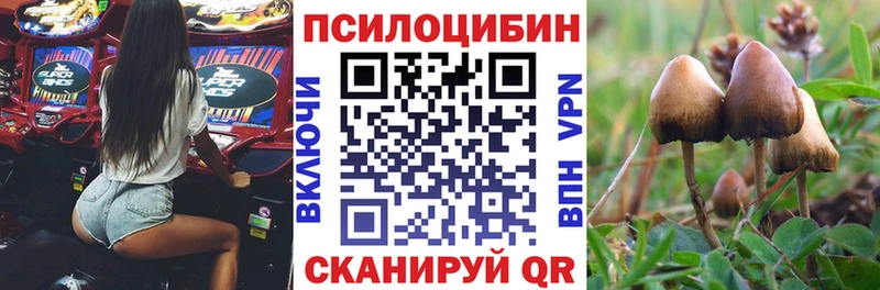 хочу   Красково  Галлюциногенные грибы Magic Shrooms 